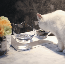 Load image into Gallery viewer, Anti Vomiting Cat Bowl