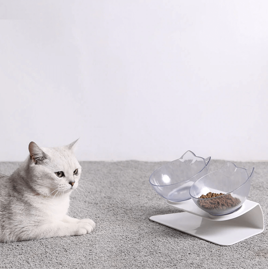 http://aipaws.com/cdn/shop/products/Anti-vomiting-cat-bowl-Posturecatbowl-orthopedic-cat-bowl-raised-cat-bowl-elevated-cat-feeder-cat-bowls-with-stand-large-single-bowl_08fdbe5a-9c34-47b6-af2d-28c1890a9a84_1200x1200.png?v=1591828714
