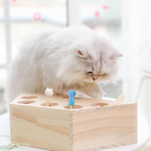 Load image into Gallery viewer, Carno Cat Toy Whack-a-Mole cat toy