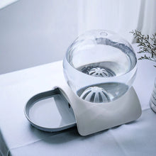 Load image into Gallery viewer, Dog water dispenser Grey