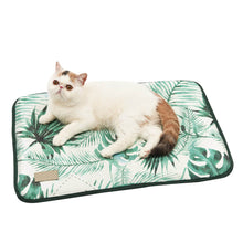 Load image into Gallery viewer, 3D Print Summer Ice Silk Pet Dog Cooling Mat For Cats Dogs