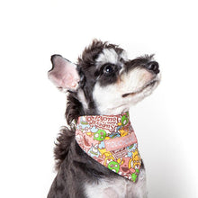 Load image into Gallery viewer, Little Monsters Dog Bandana