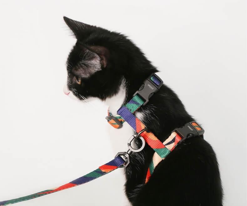 Zee 2024 cat harness