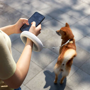 xiaomi moestar smart dog leash 