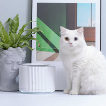 Load image into Gallery viewer, Cat Water Fountain Furrytail