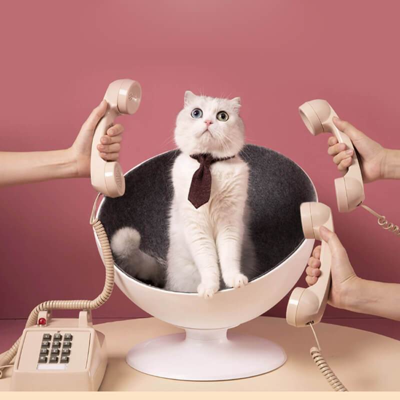 Cat Ball Chair Stylish Cat Chair Bed by Furrytail︱Aipaws aipaws