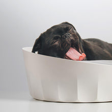 Load image into Gallery viewer, Cupcake Dog Bed Cat Bed