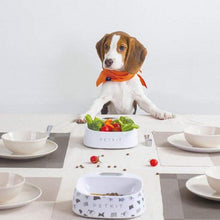 Load image into Gallery viewer, PETKIT Smart Bowl