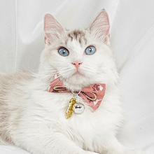 Load image into Gallery viewer, Cat-bow-tie-collar-cat-bow-tie-kitten-bow-tie-collar 