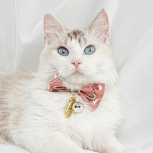 Load image into Gallery viewer, Cat-bow-tie-collar-cat-bow-tie-kitten-bow-tie-collar