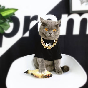 gold chain for cat