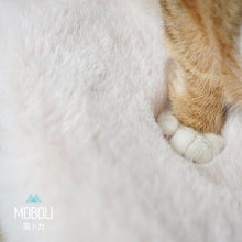 Load image into Gallery viewer, cat soft cushion cat carrier luxury