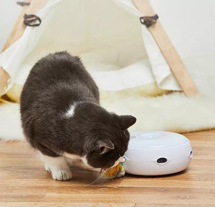 Smart Toys for Cat Boredom – The Homerun Electronic Doughnut Cat Toy