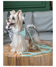 Load image into Gallery viewer,    Arkika_Rhinestone_Tiffany_blue_Dog_Harness_bling_leather_dog_harness_for_small_dog_and_cat