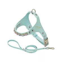 Load image into Gallery viewer, Arkika_Rhinestone_Tiffany_blue_Dog_Harness_bling_leather_dog_harness_for_small_dog_and_cat