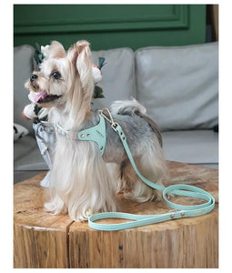    Arkika_Rhinestone_Tiffany_blue_Dog_Harness_bling_leather_dog_harness_for_small_dog_and_cat