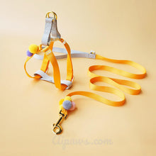 Load image into Gallery viewer, Aipaws-Candy-dog-harness-dog-harness-for-small-dogs-soft-dog-harness-and-leash-orange