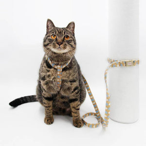 Arkika-Cat-Harness-and-Leash-travel-cat-harness-luxury-cat-harness-soft cat-harness-japan-japanese