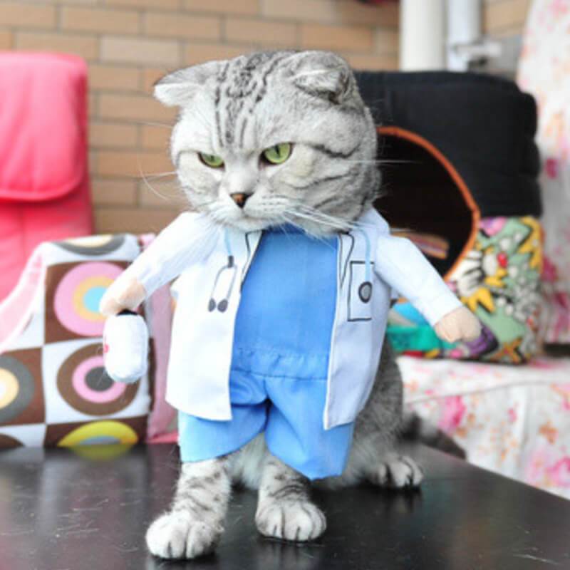 Cat Doctor Costume for Halloween 
