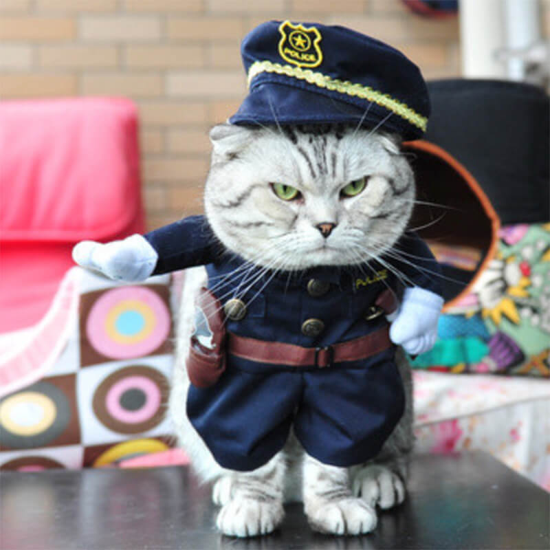 Cat Police Costume for Halloween Puppy Funny Costume—Aipaws L