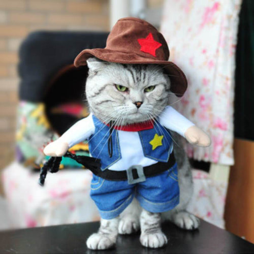  Cat Cowboy costume for Halloween