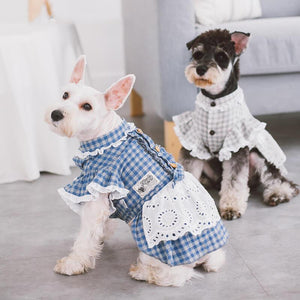 Dog-plaid-dress-dog-Lattice-dress-dog-maid dress