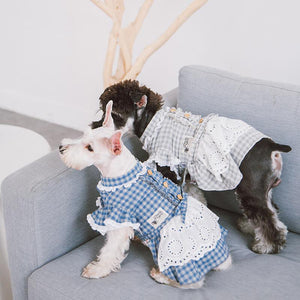 Dog-plaid-dress-dog-Lattice-dress-dog-maid dress