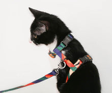 Load image into Gallery viewer, pidan Cat Harness and Leash Set escape proof cat harness