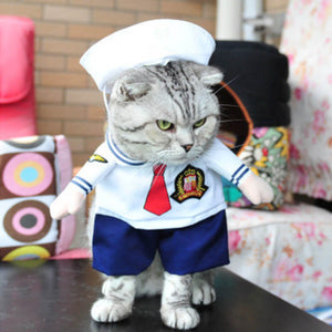  cat Sailor costume for Halloween 