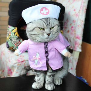 cat nurse costume for Halloween 