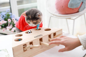 Carno Cat Toy Whack-a-Mole cat toy