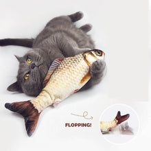 Load image into Gallery viewer, flopping fish cat toy floppy fish moving fish cat toyWagging Fish Cat Toy Catnip cat Kicker fish toy