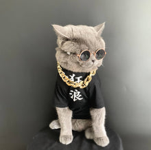 Load image into Gallery viewer, gangster cat costume for halloween