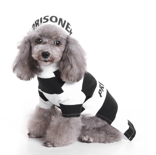 Prisoner Dog Costume for halloween